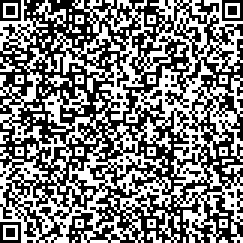 QR Code enlarged