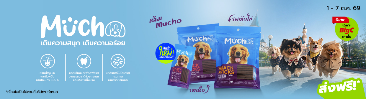 Mucho PLM Fair 1 - 7 Oct 26