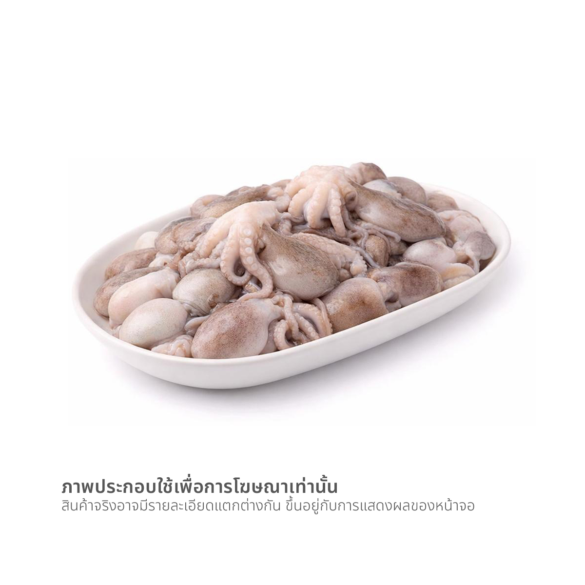 Octopus (avg 30-40 ea/kg.)