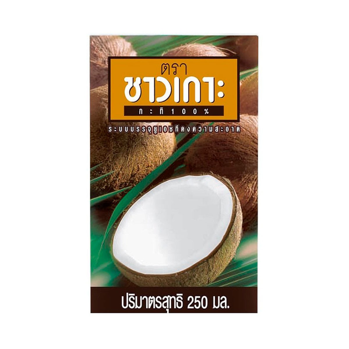 Chaokoh Instant Coconut Milk (250ml)
