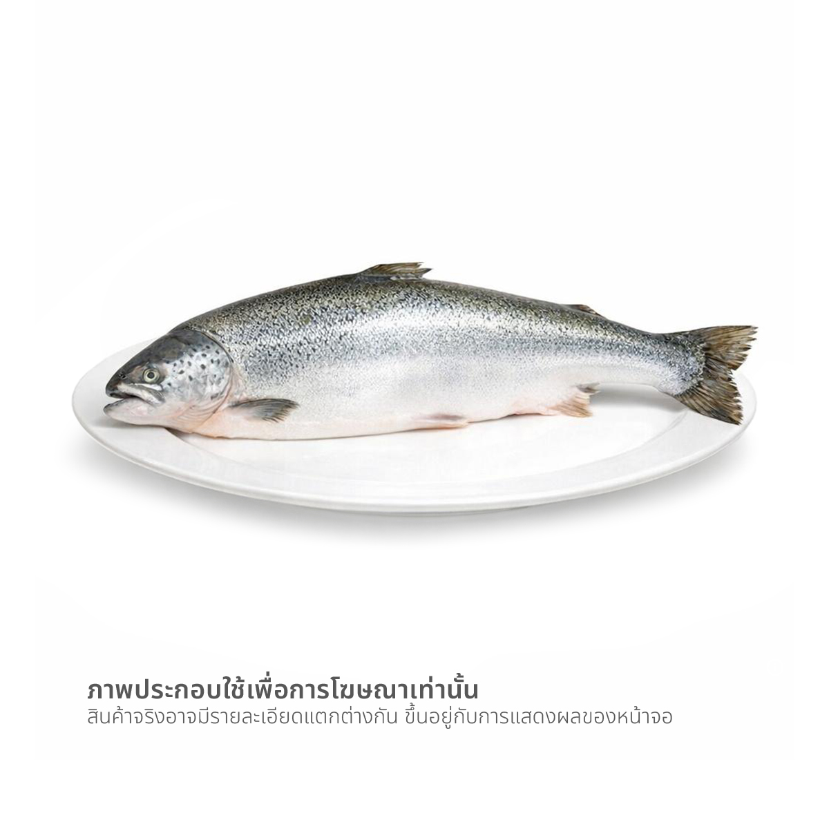 วี อาร์ เฟร็ช ปลาแซลมอนแอตแลนติกแช่แข็ง 1 ตัว (ขนาด 4-6 กก.)