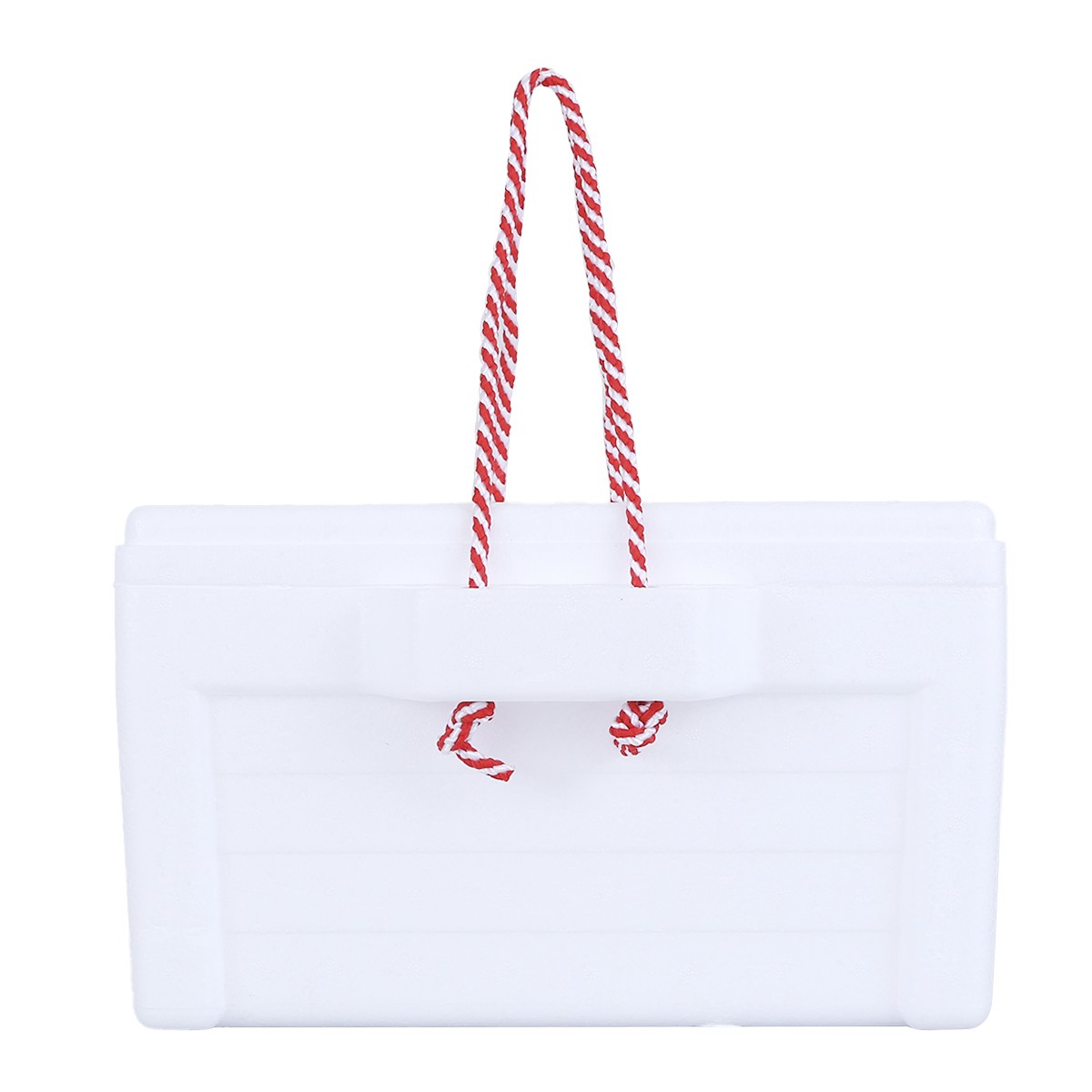 EPP Foam Box Large 10 kg.