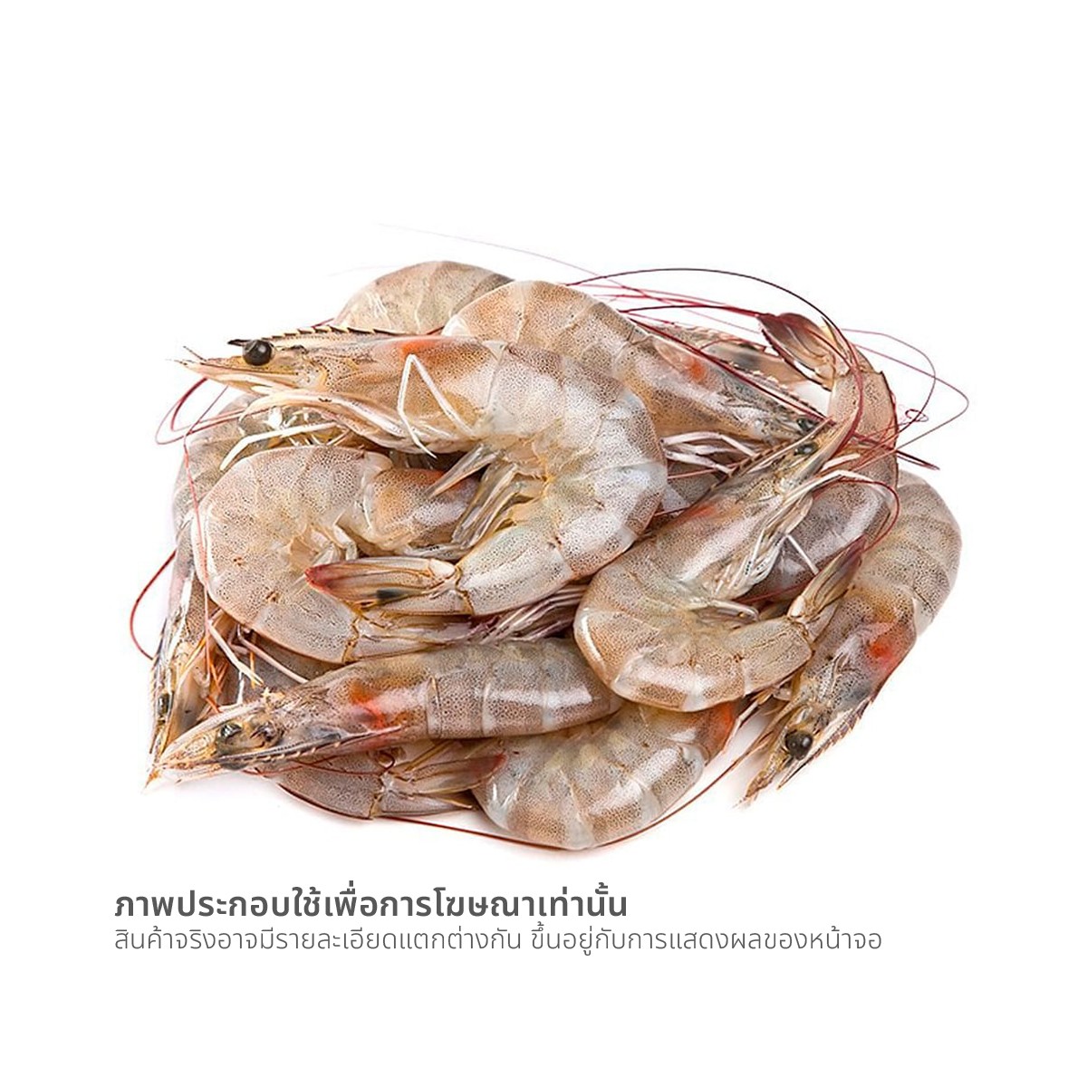 กุ้งขาว (เฉลี่ย 90-100 ตัว / กก.)