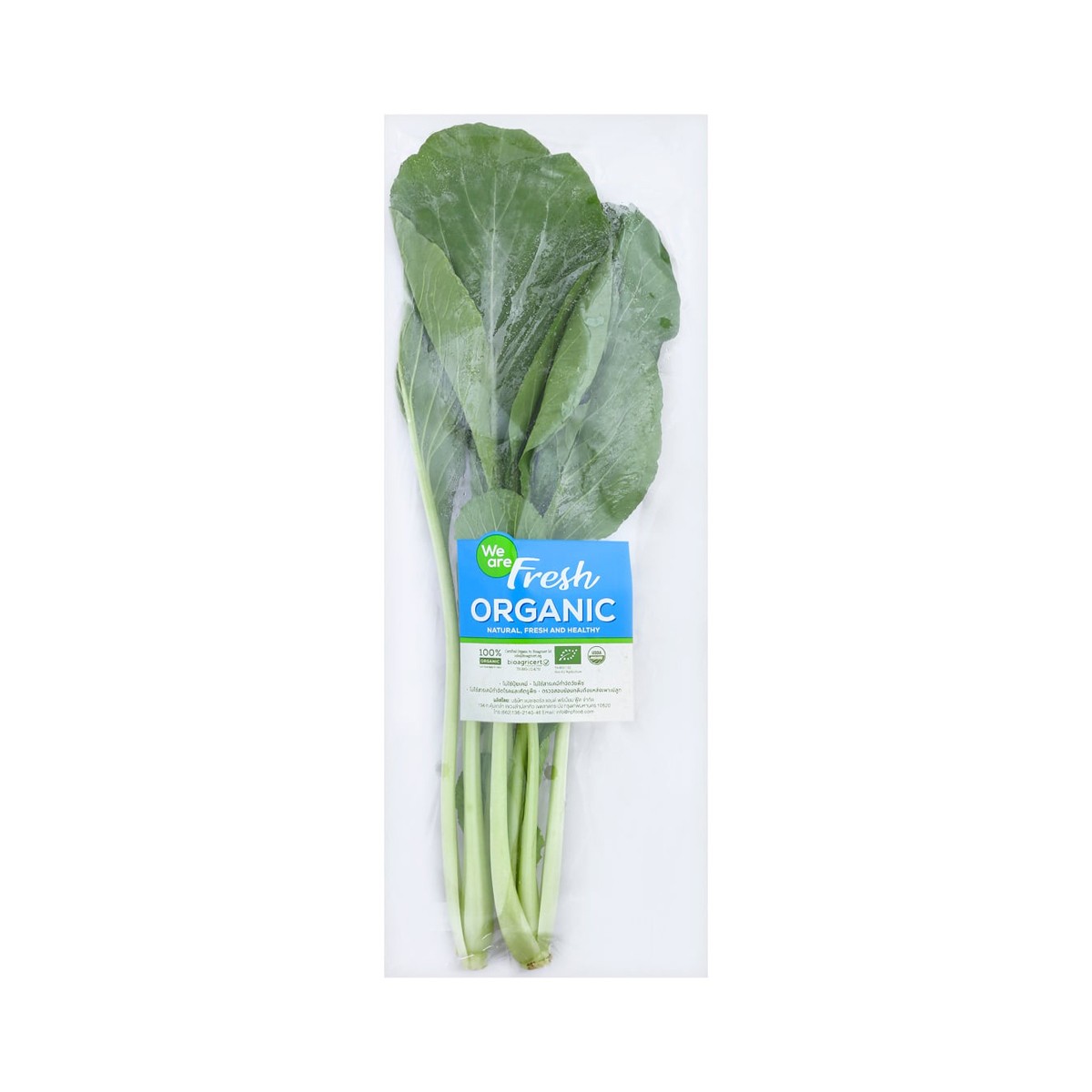WE ARE FRESH Organic False Pakchoi 100 g.