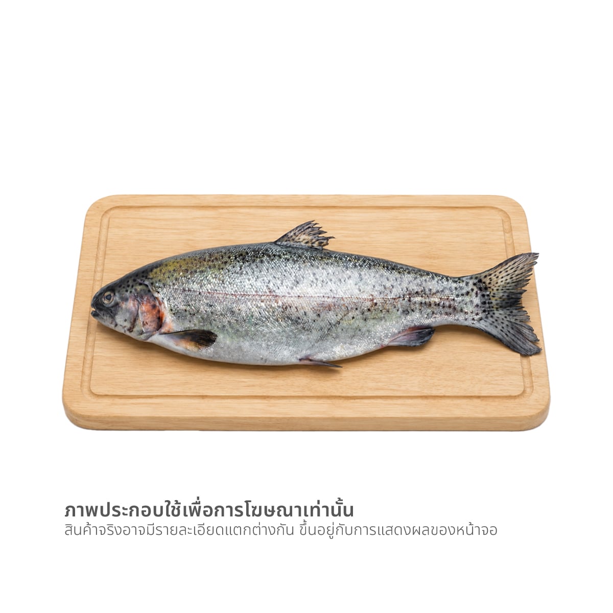 WE ARE FRESH Fjord Trout per kg. (weight 5-6 kg.)