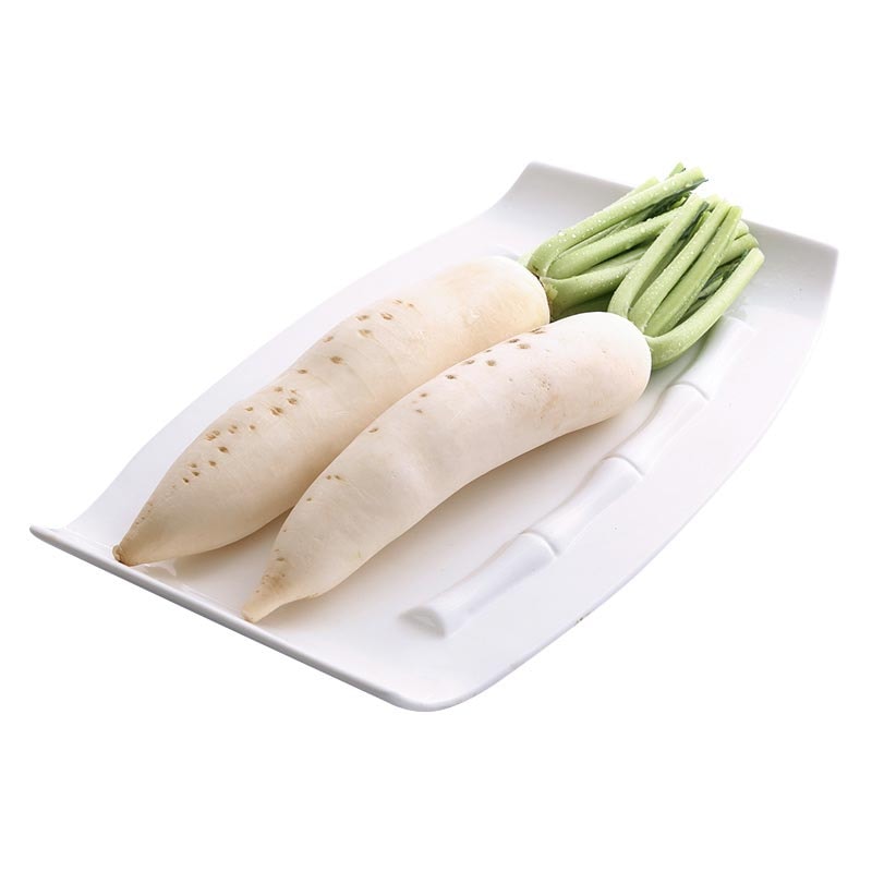 White Radish