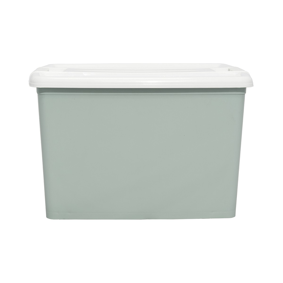 BESICO Container Box 75 L. 4000L Green