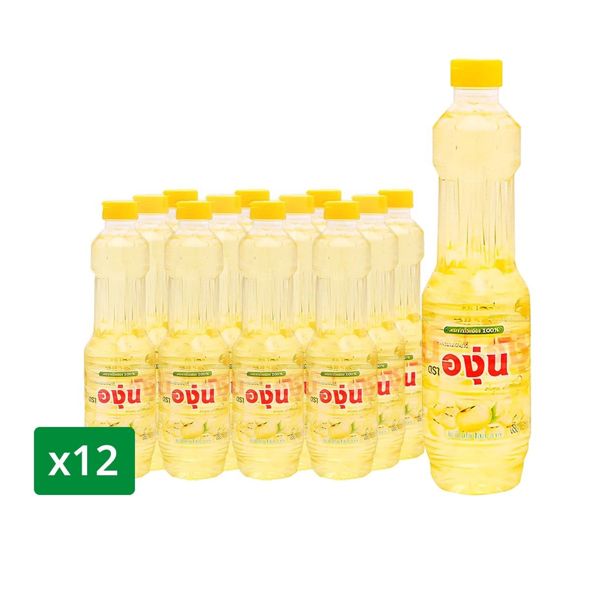 ANGOON Soybean Oil 230 ml. Pack 12