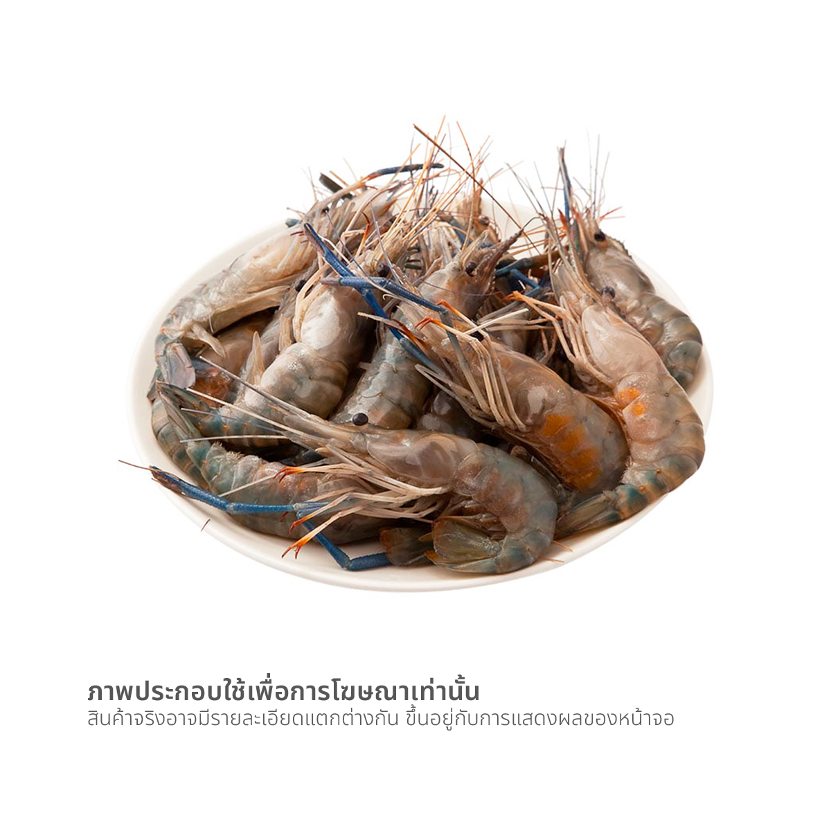 กุ้งนาง (เฉลี่ย 30-40 ตัว / กก.)