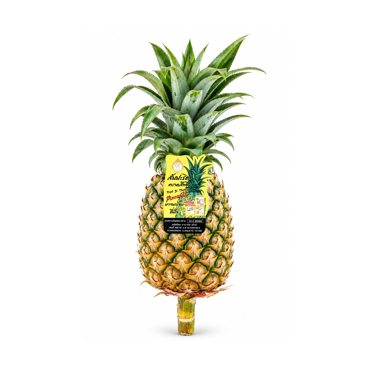 Thai Golden Pineapple